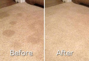 Before and After Carpet Cleaning