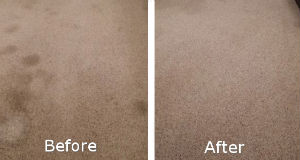 Carpet Cleaning Before and After