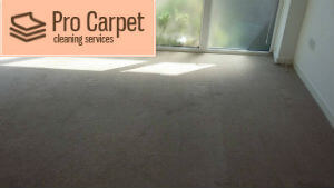 carpet steam cleaning