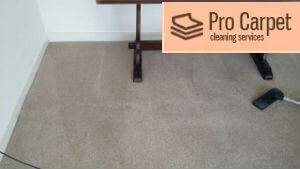 carpet steam cleaning